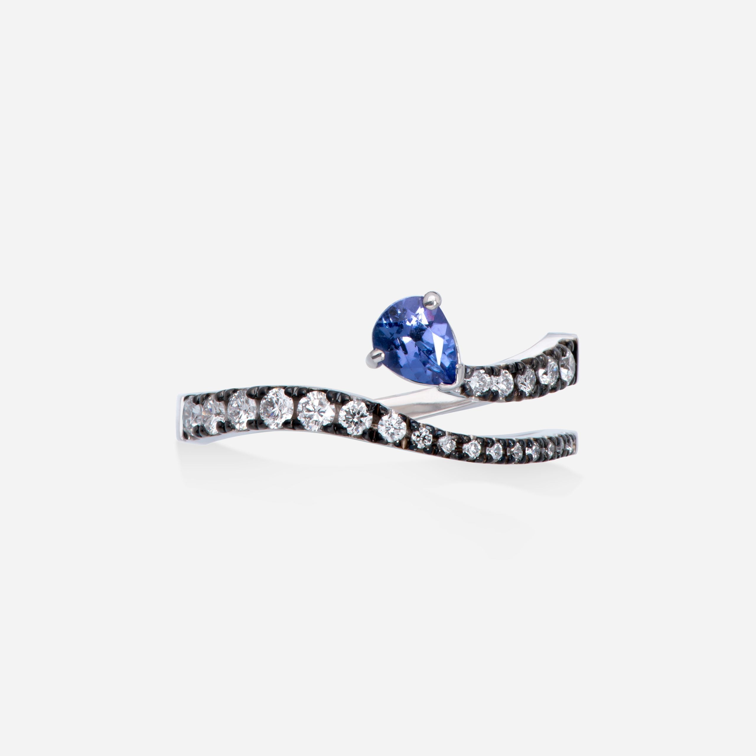 Anillo Sasa