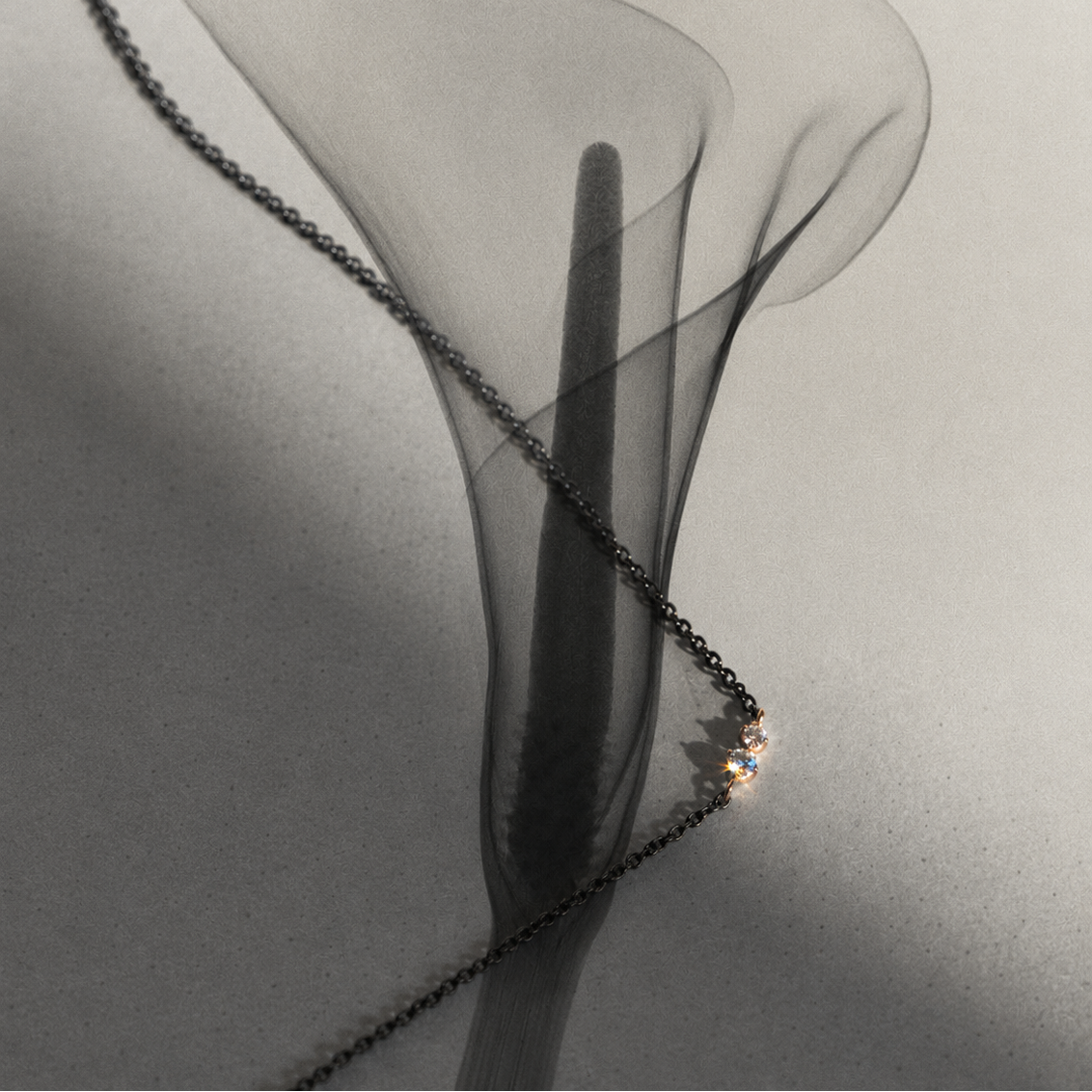 ÉCLAT NOIR Necklace